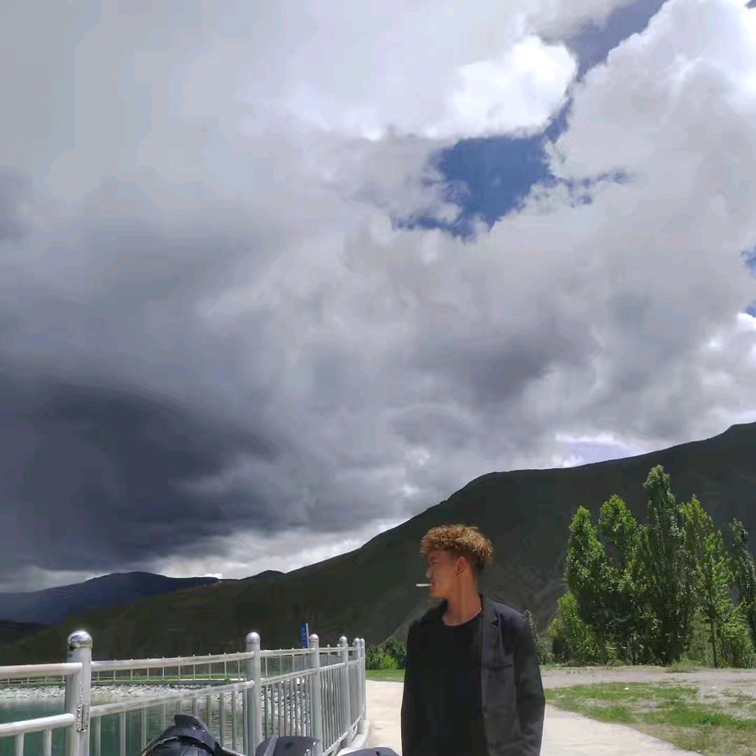 👹山鸡👹