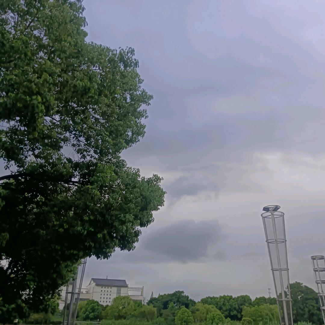 随心所欲