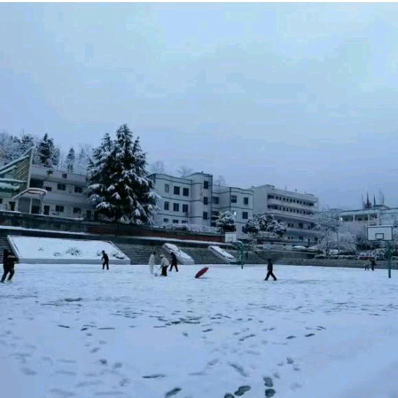 静而不争2575905908674