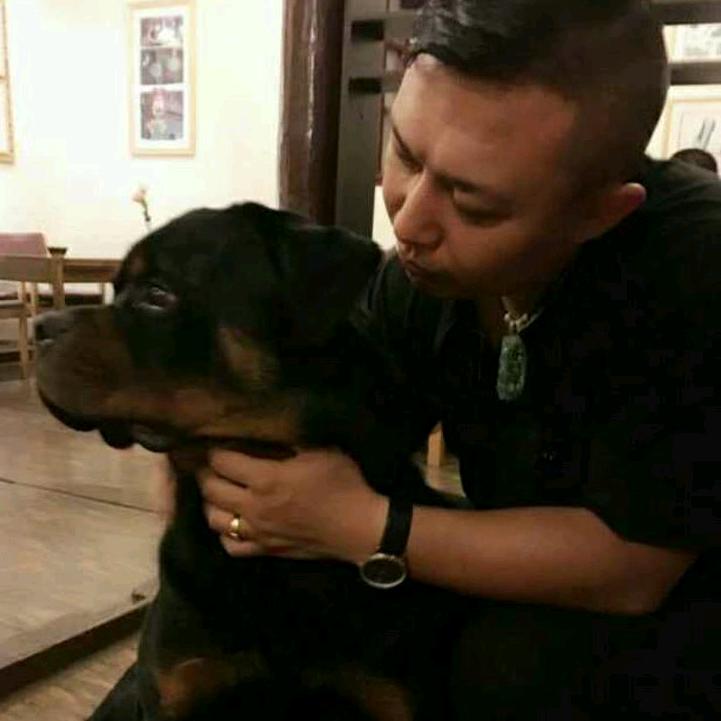 西格玛男人