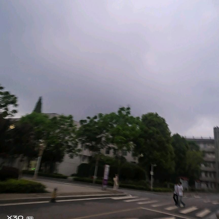 反思总结认真