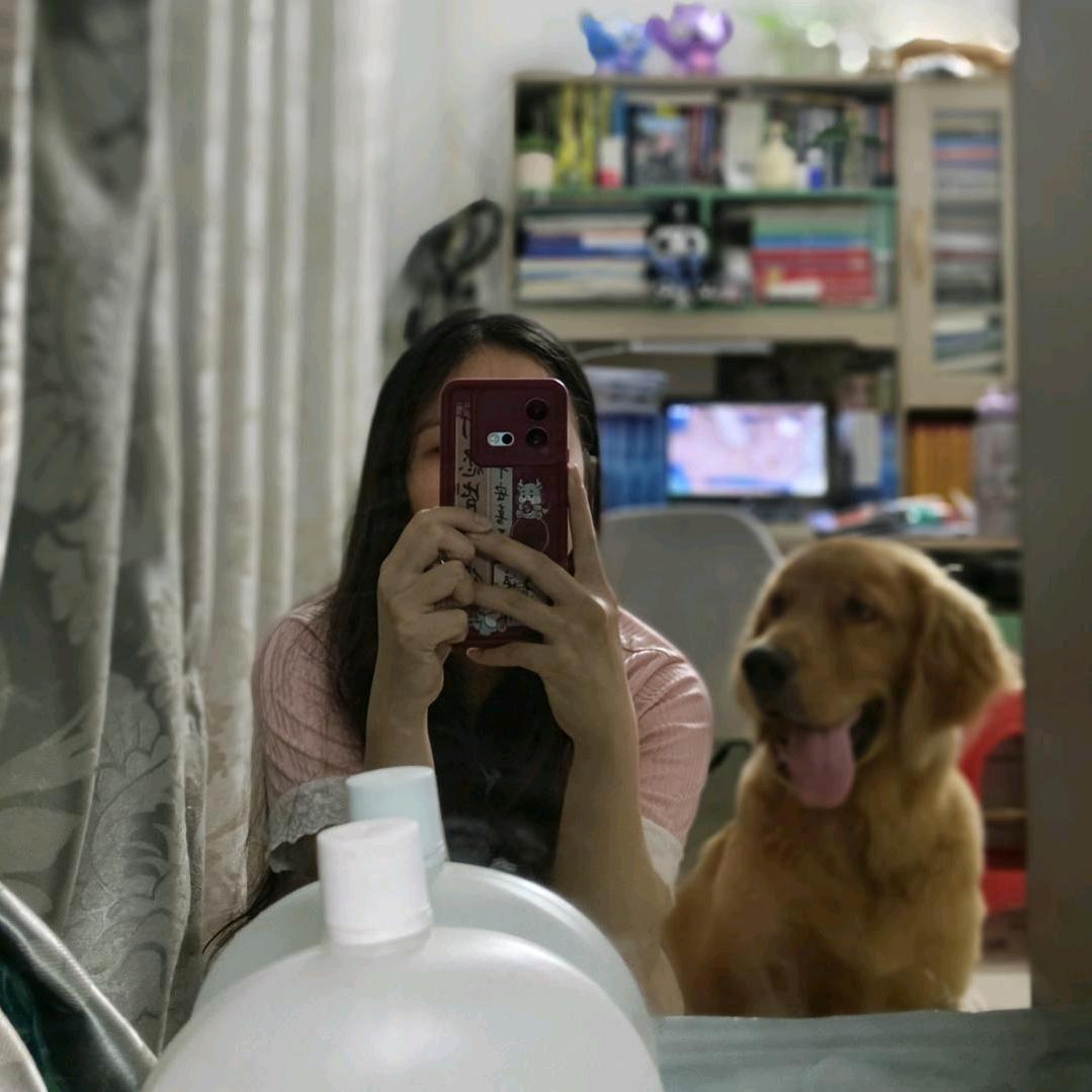 kingking不是小肥狗