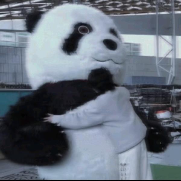 疯人院的专属疯子