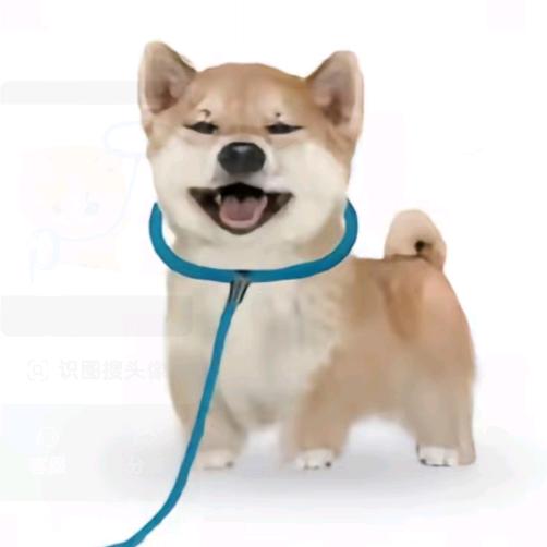 双层安格斯厚牛堡