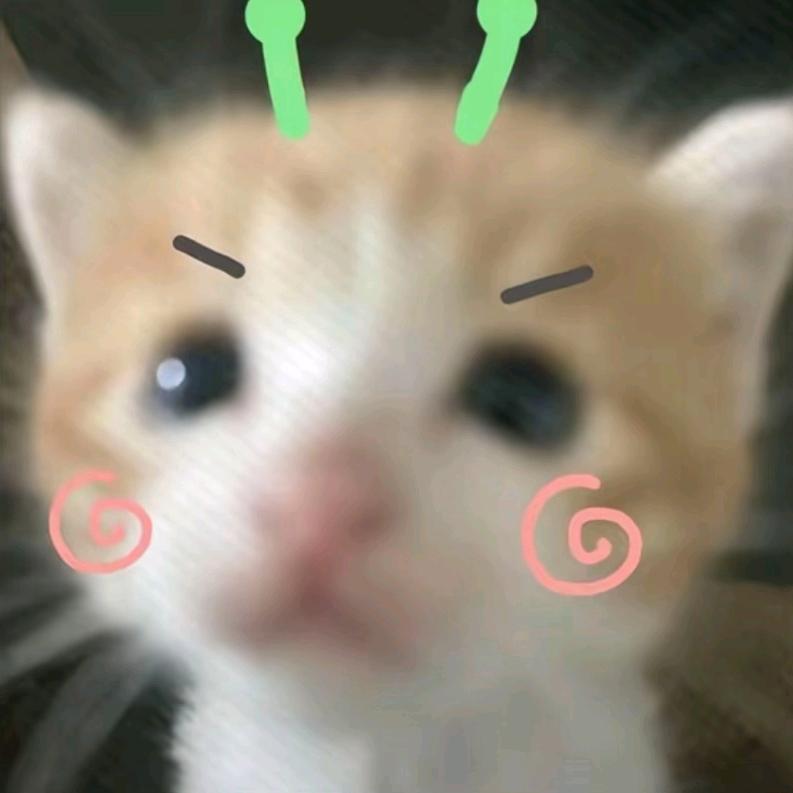 vv