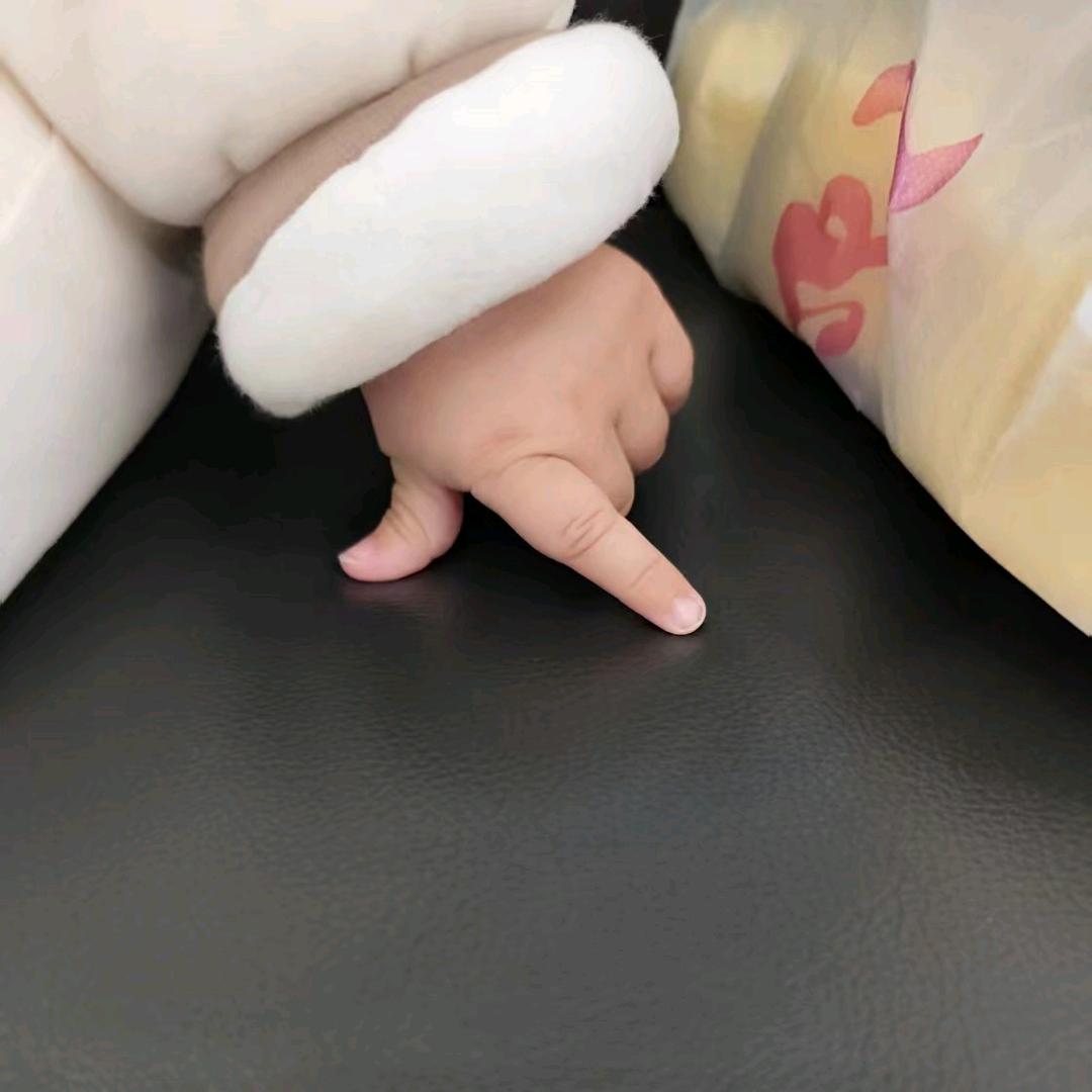 寻道大千小妖怪
