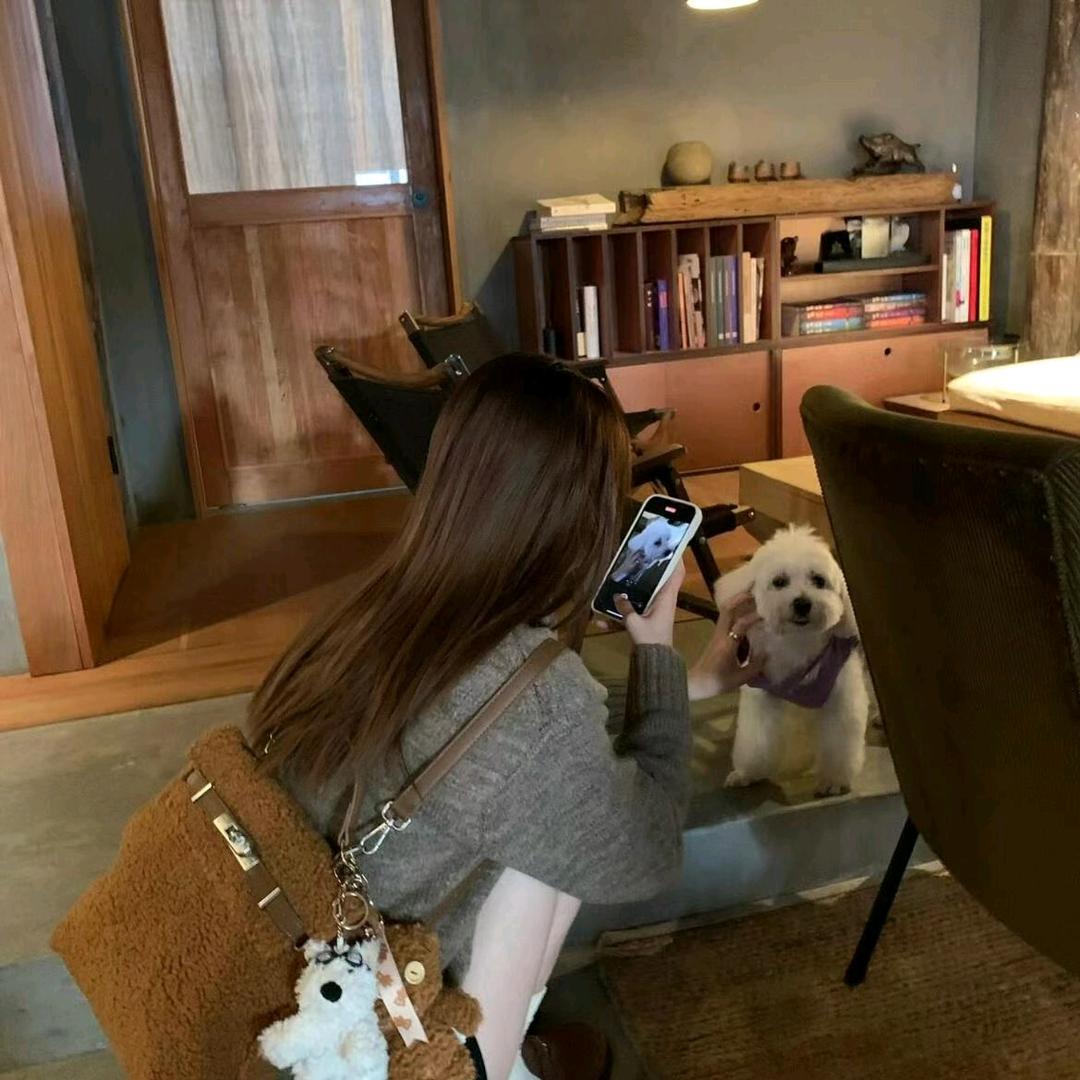 ✨榆泡泡🐟🦄