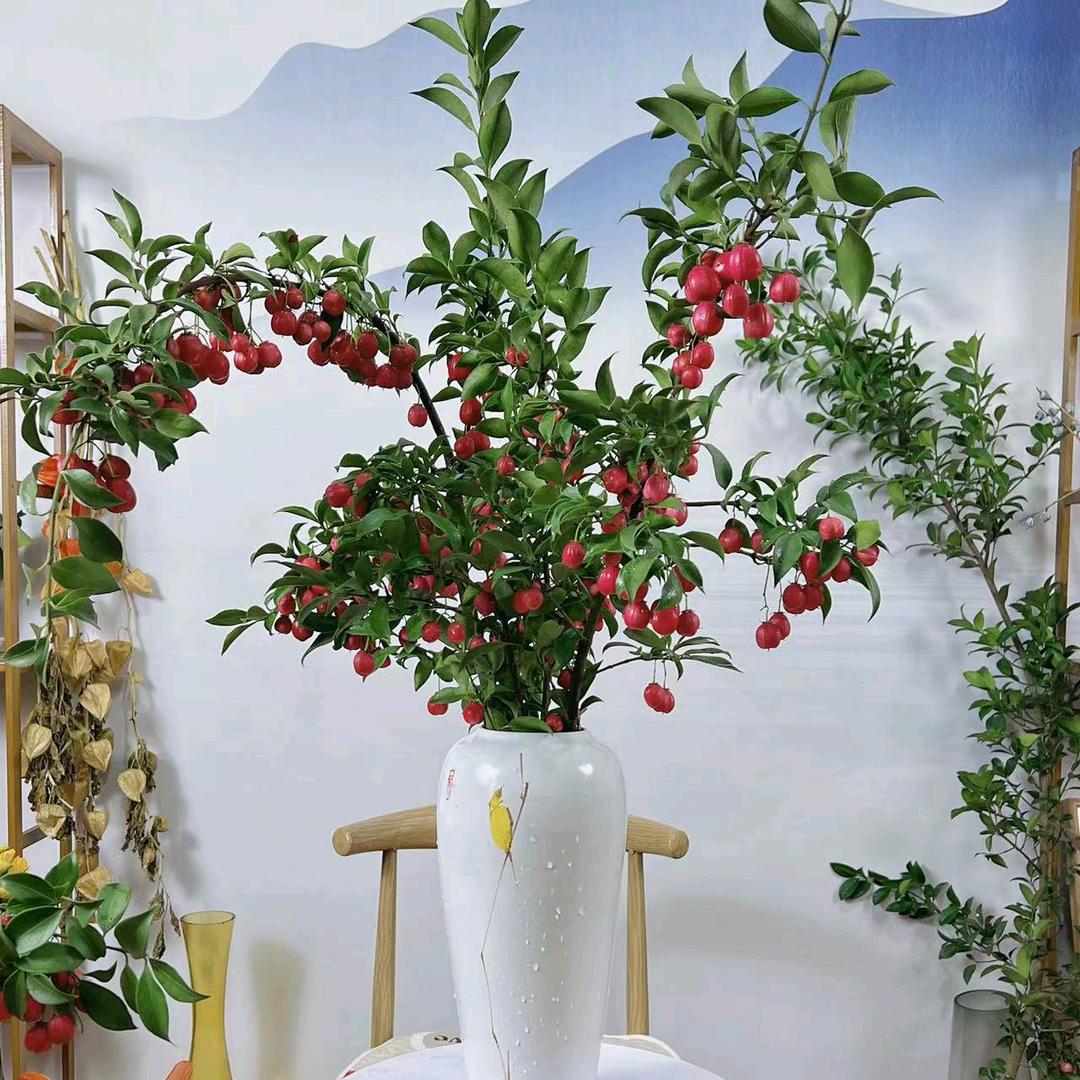 云畔雾隐花