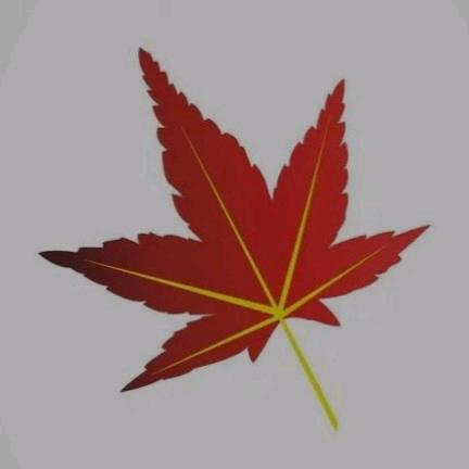 相遇是缘份