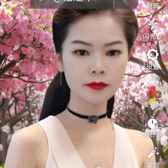彤彤