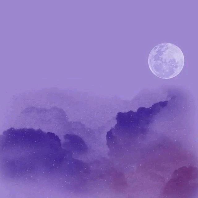 也无风雨也无晴