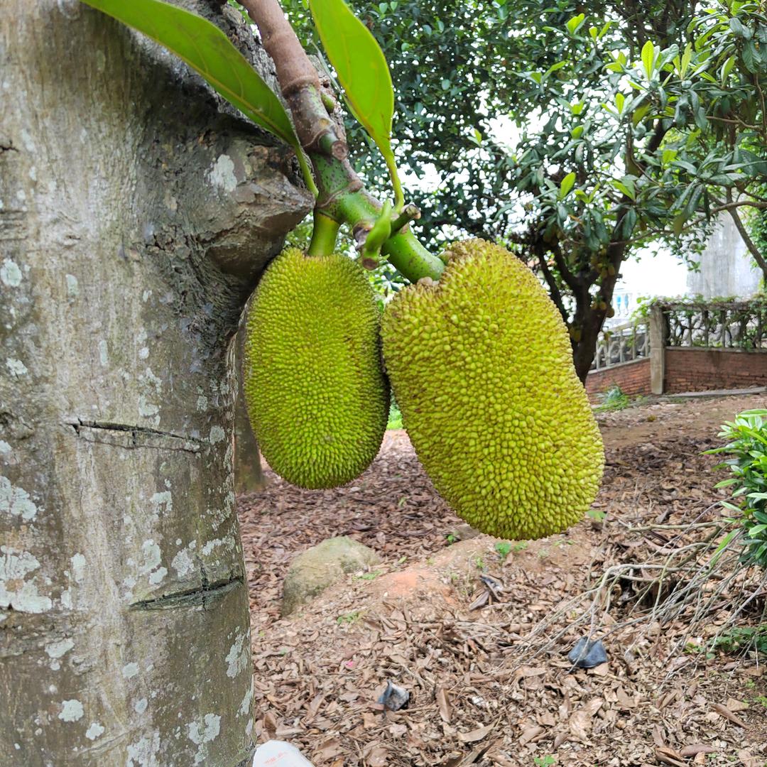 长征出发地一瑞金