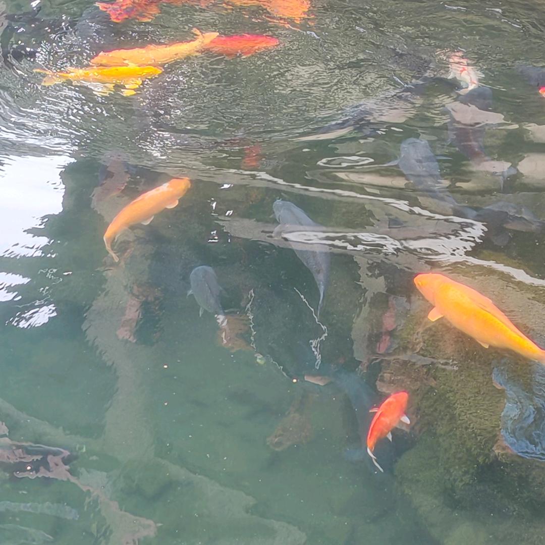 @酒韵壹添