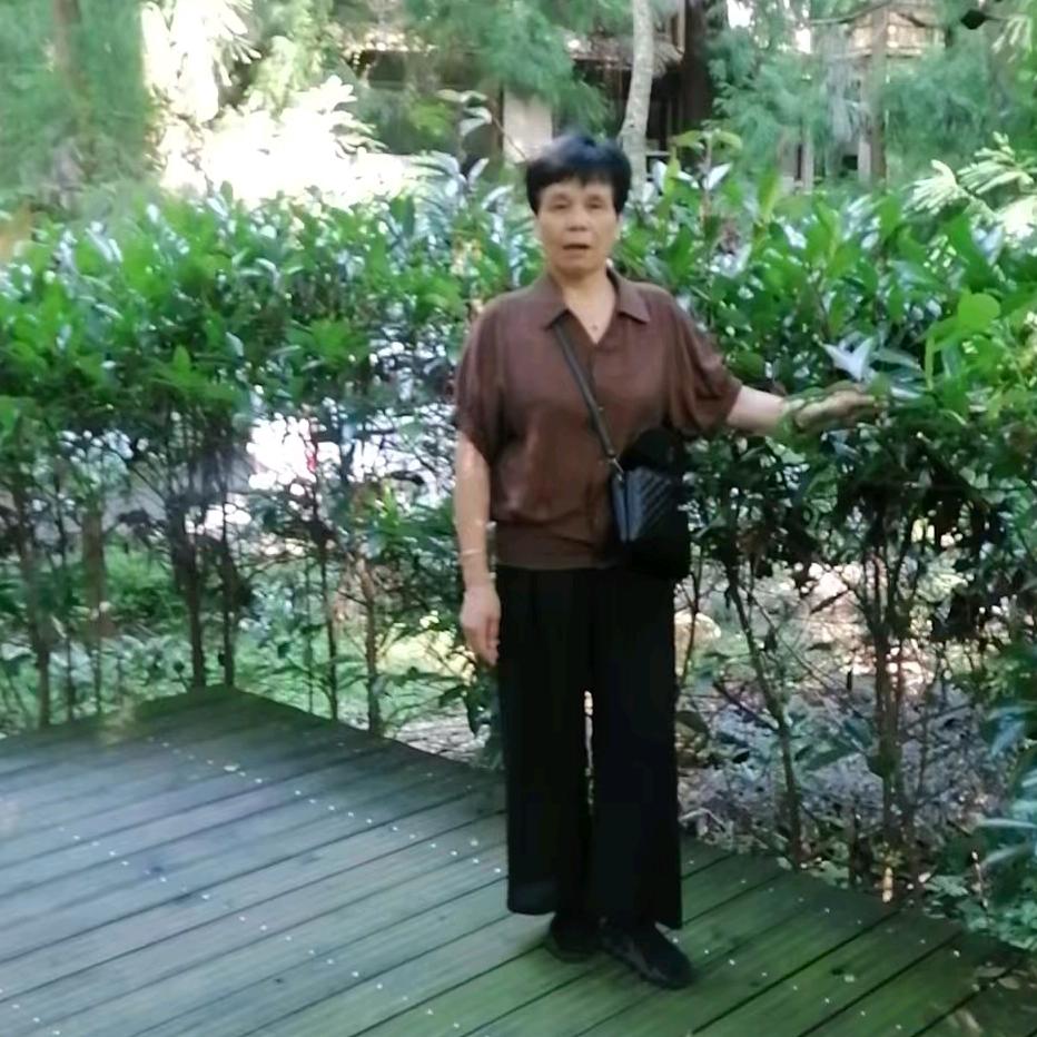 水仙