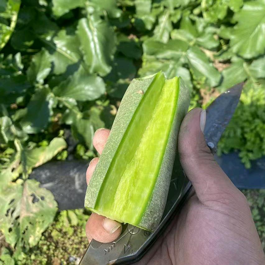 拔出萝卜带出泥！！！