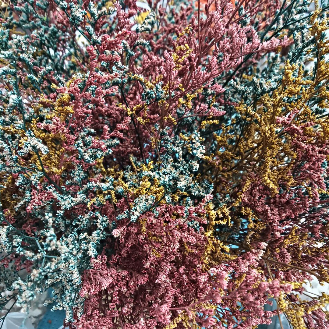 喜羊羊🐏🐏🎋🌴🌻☃️