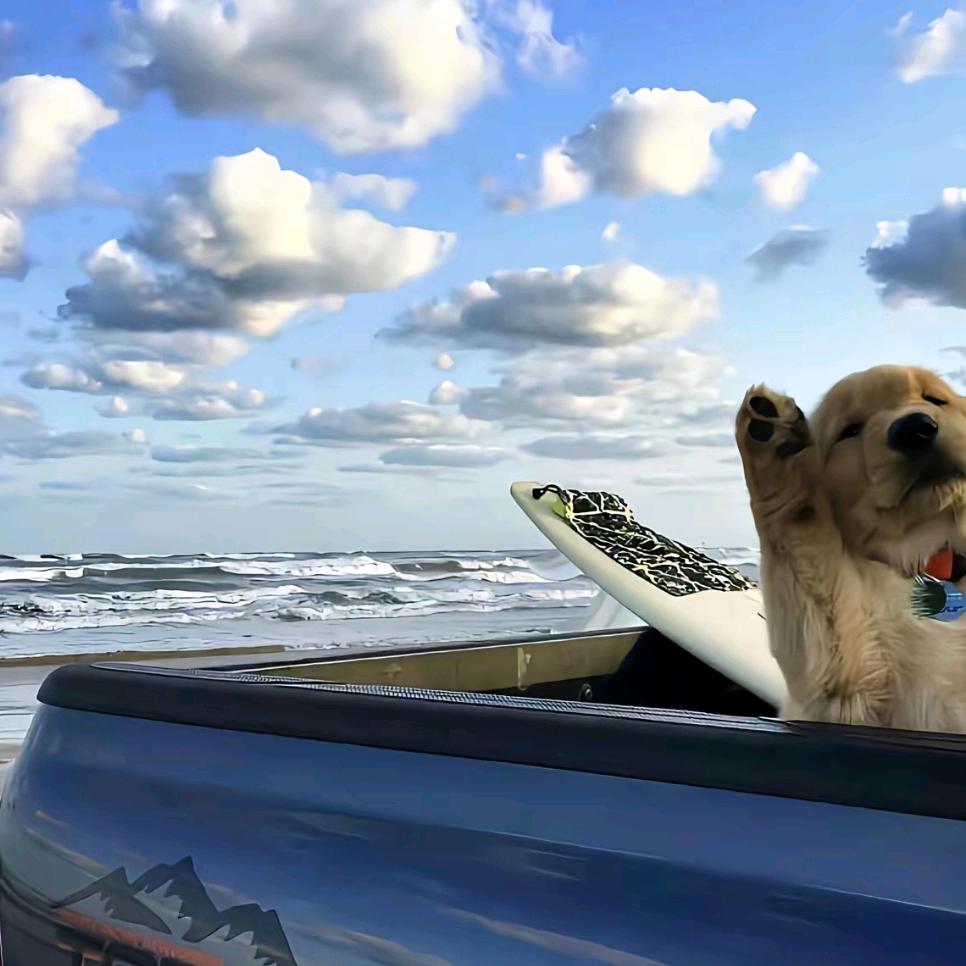 国家重点保护对象