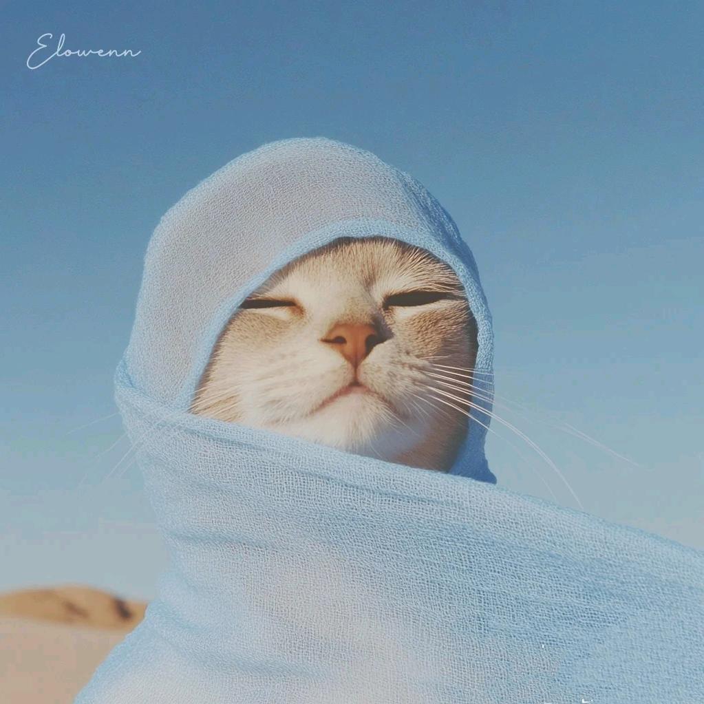 御丸