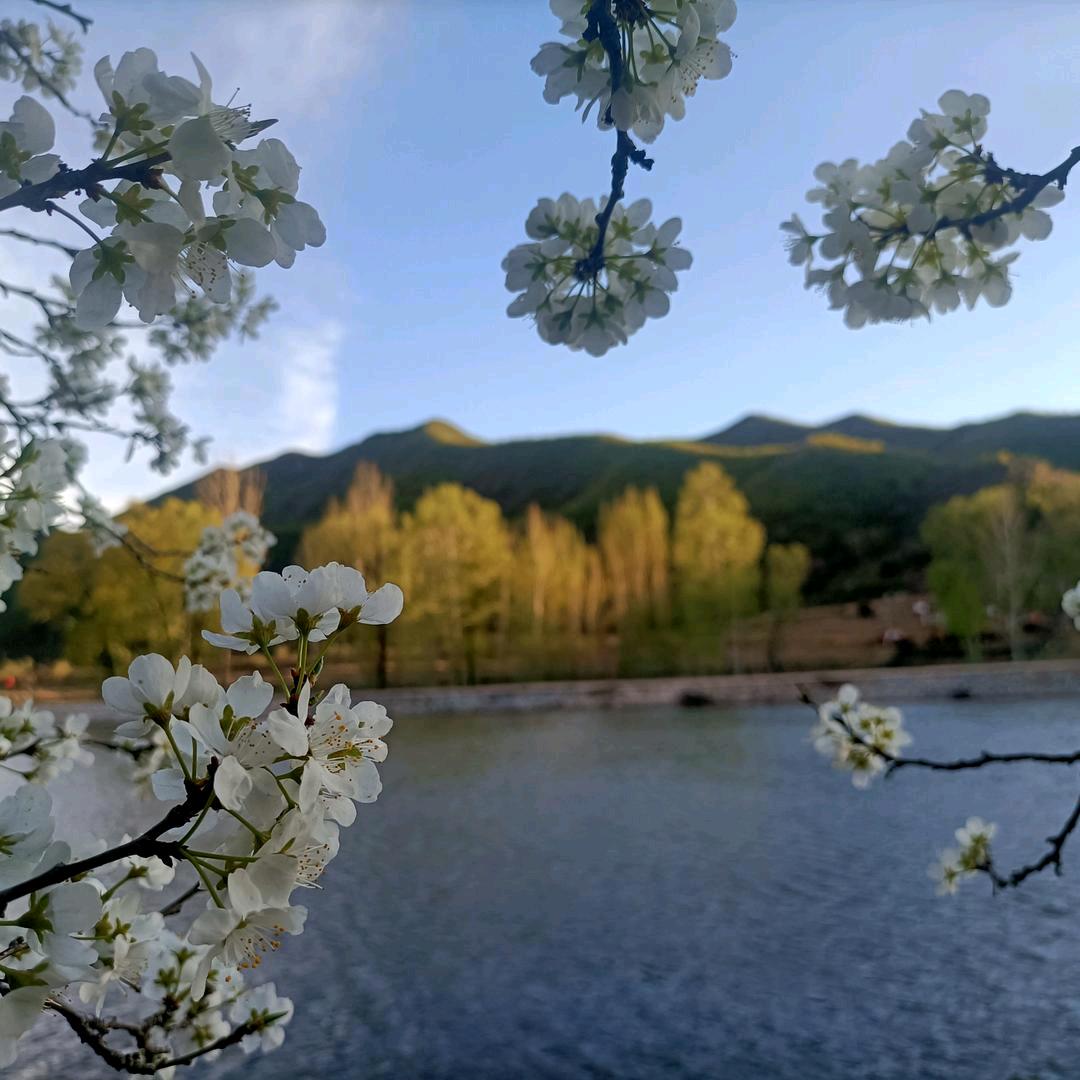 从心姐姐（垂钓园）晚7：30直播