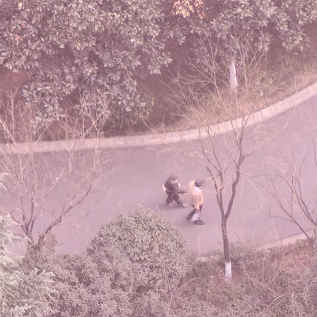 理想之城
