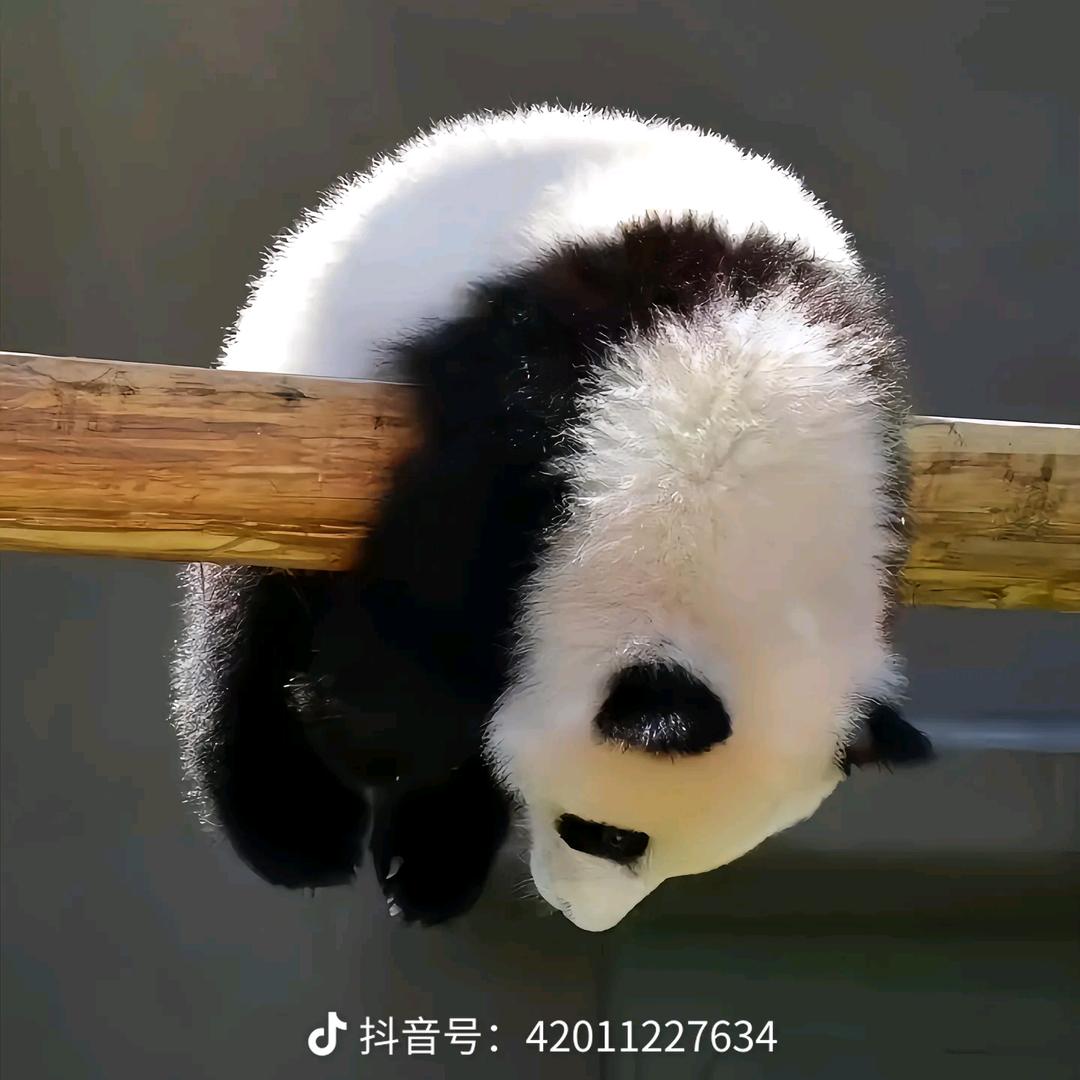 我自己