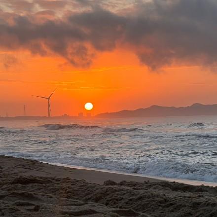 ￴ ￴￴《少女变成猪》(本人为男生》