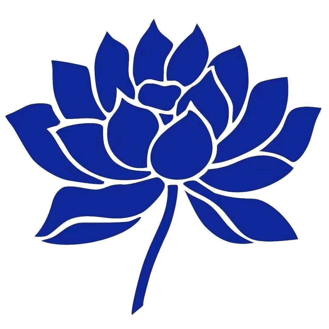孤木哥哥