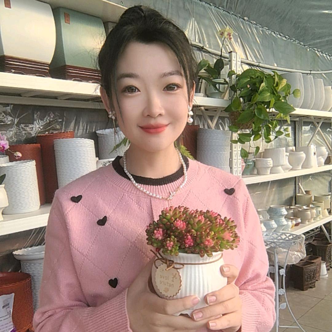 太原小森林花卉送花上门