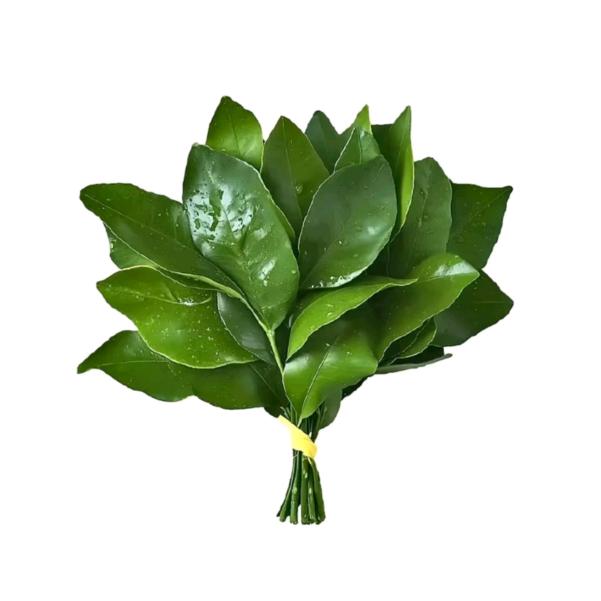 稻城小康