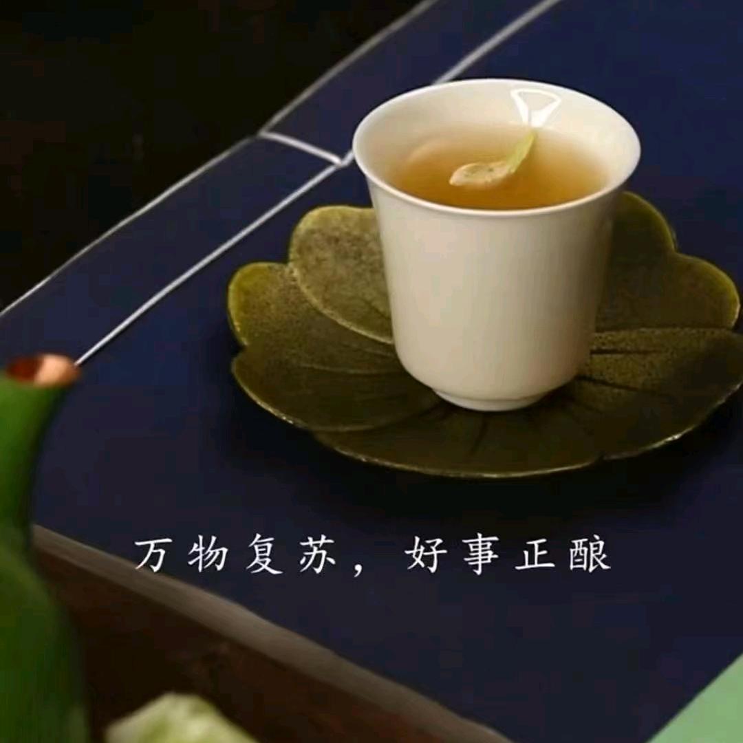 品茶人生