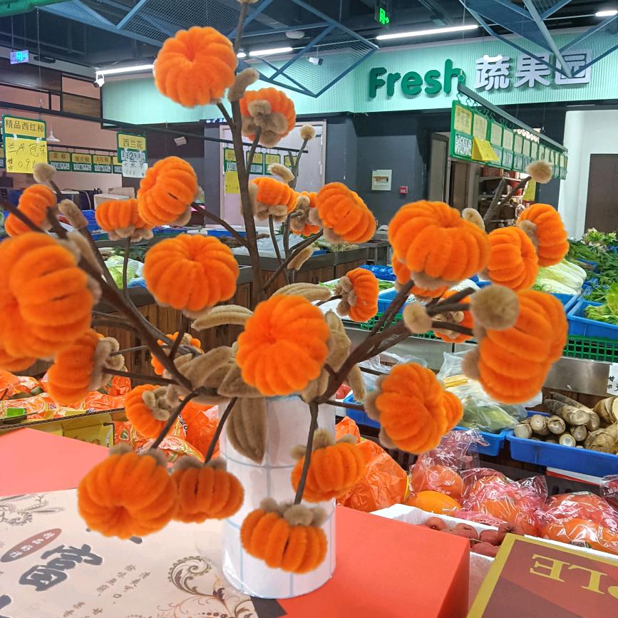 春夏秋冬