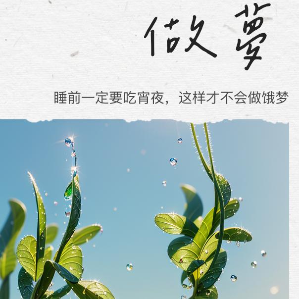 在这的欢乐时光
