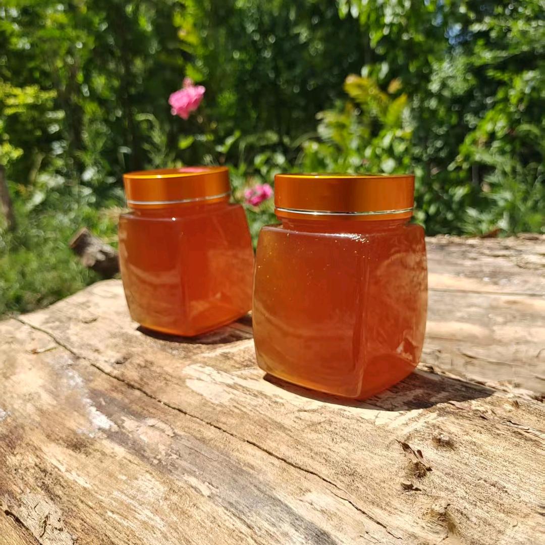 深山老林土蜂蜜