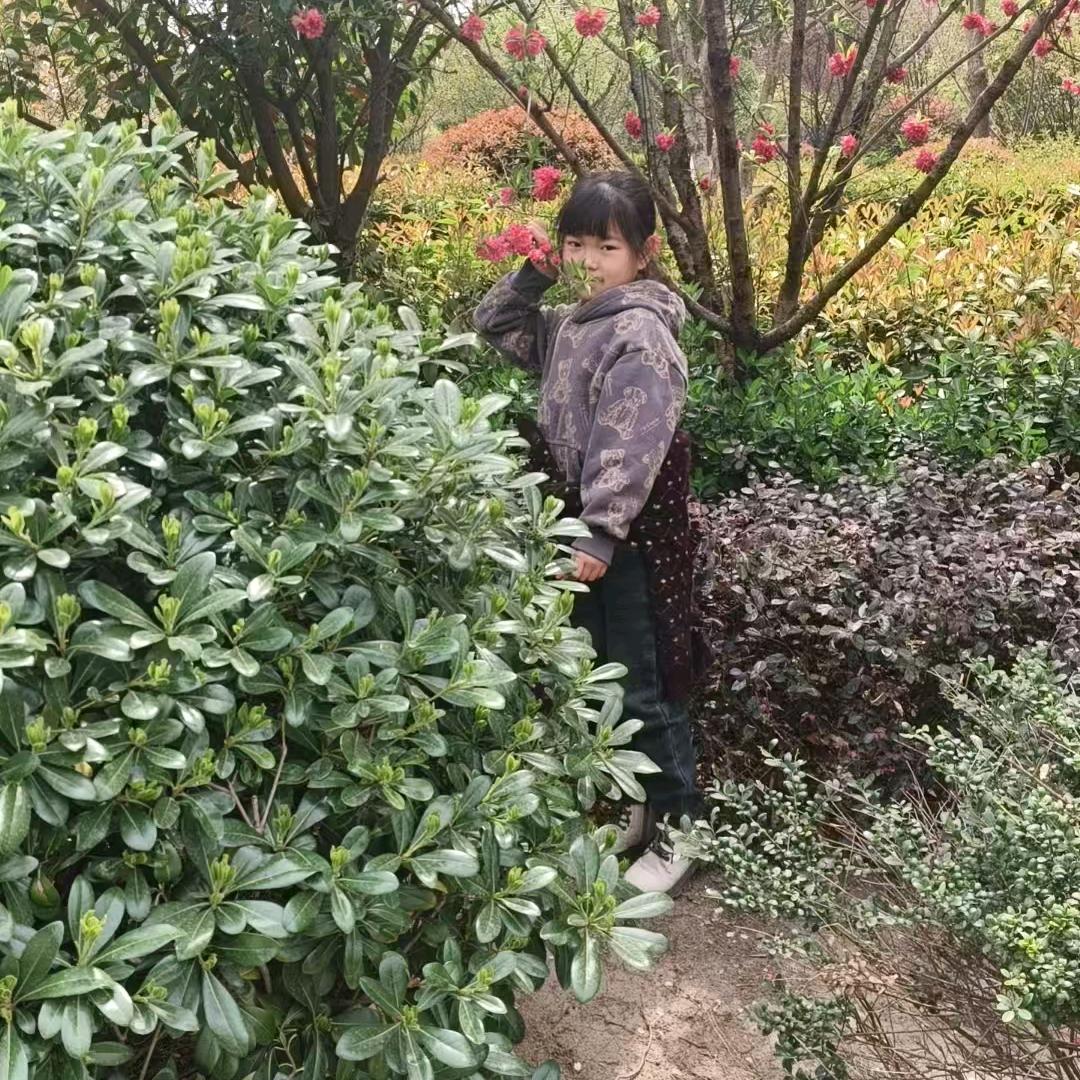 蒙哥不吃鱼
