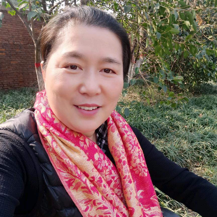 农村丁姐
