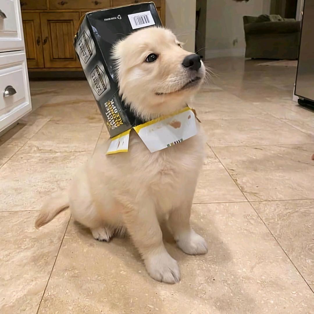 我想懒觉.
