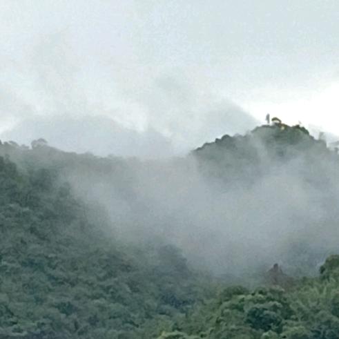 山水