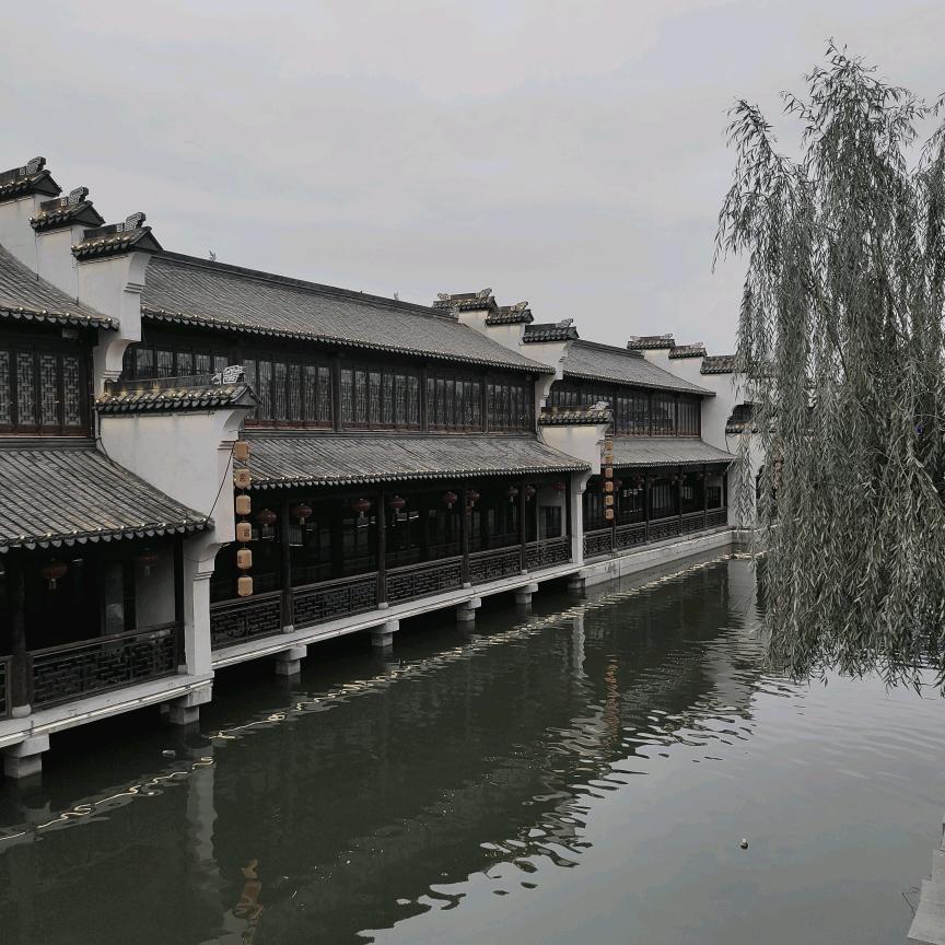 小刘·同学