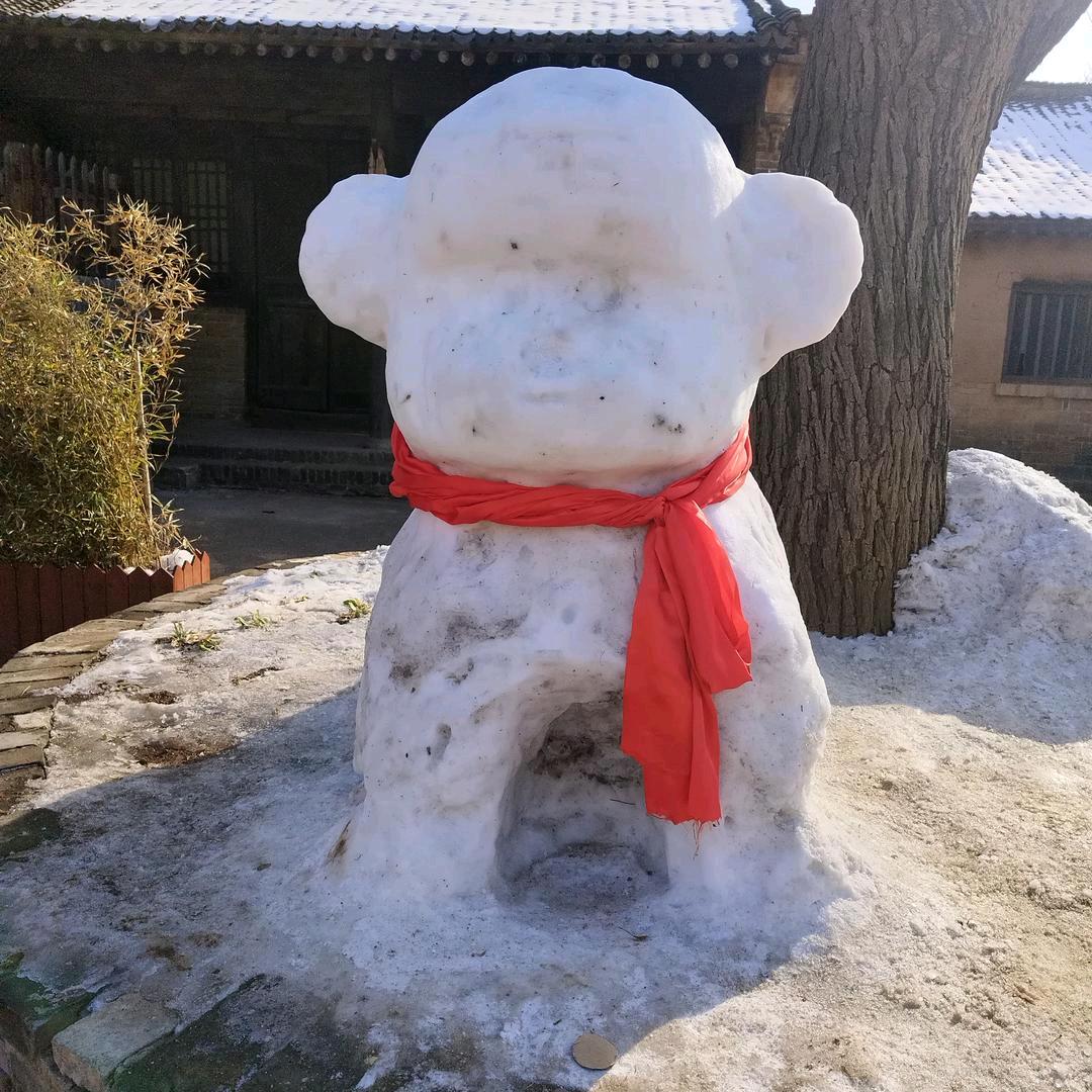 小草好物