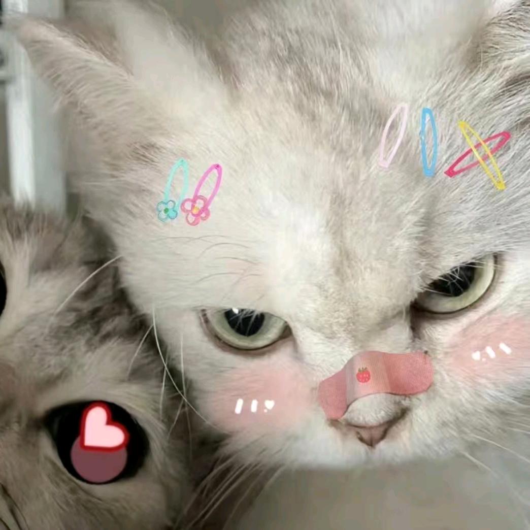 kk不打烊!