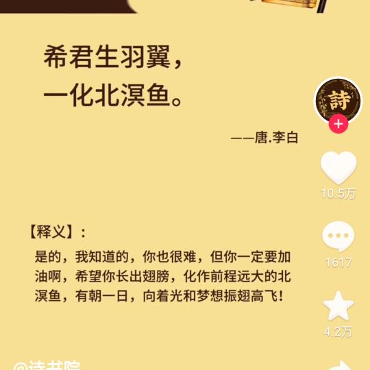 要把每朵浪花记清