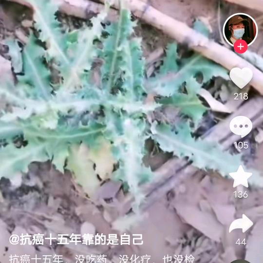 爱吃🍬
