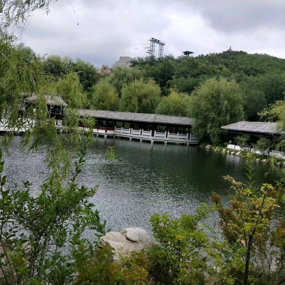 :幸运草🌿