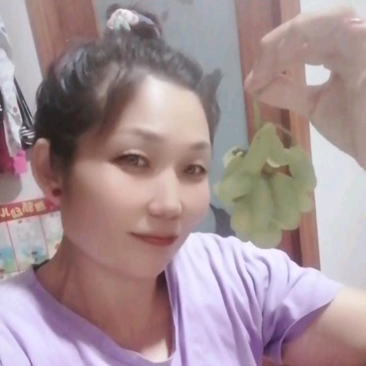 会飞的鱼
