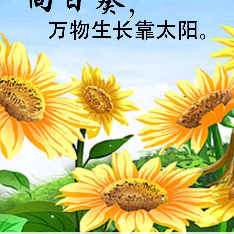 时来运转