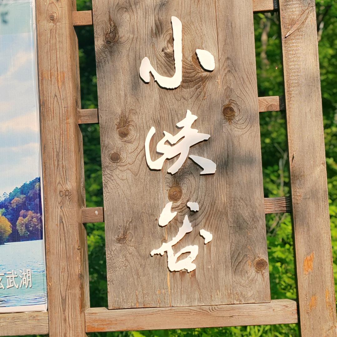 鼠鼠