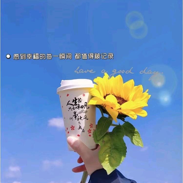 慧君😸