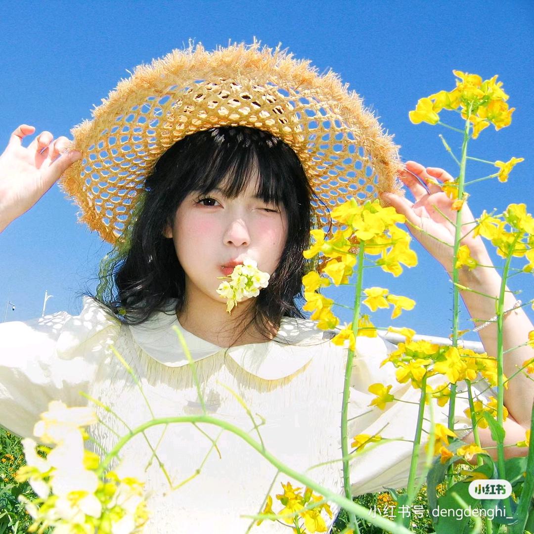 七七不吃香菜