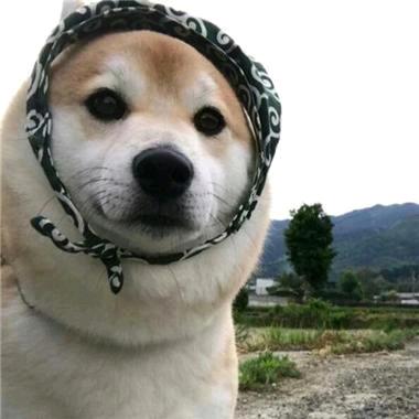 成💞都...
