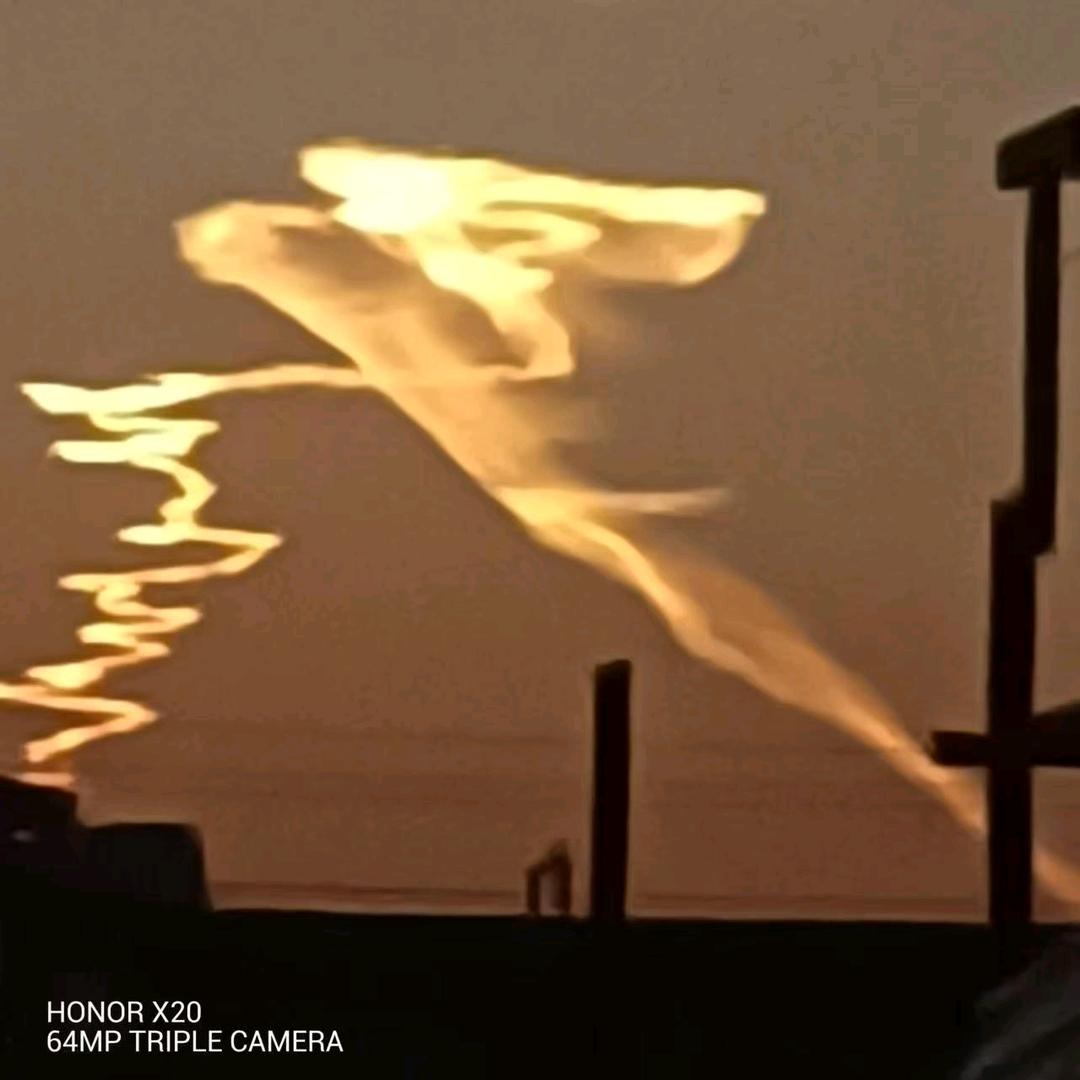 海市瓜蒌种植与回收